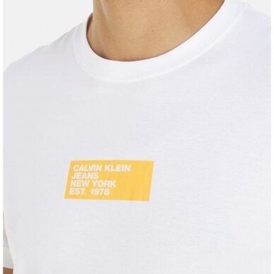 CALVIN KLEIN JEANS vyriški marškinėliai 3